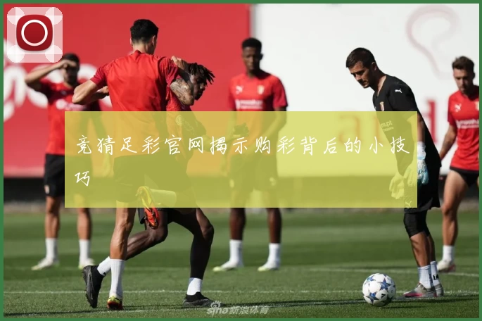 竞猜足彩官网揭示购彩背后的小技巧