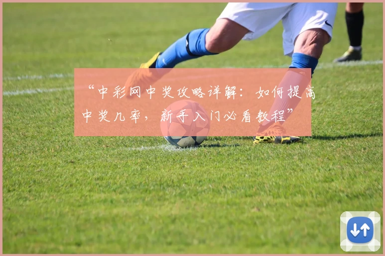“中彩网中奖攻略详解：如何提高中奖几率，新手入门必看教程”