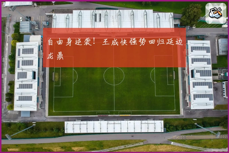 自由身逆袭!王成快强势回归延边龙鼎