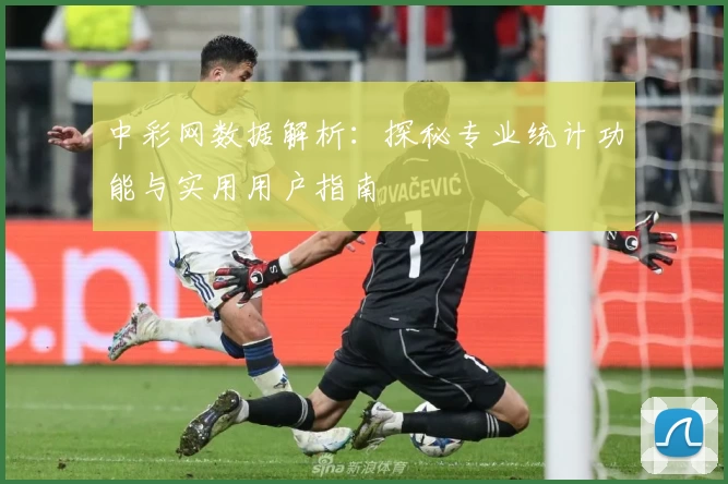 中彩网数据解析:探秘专业统计功能与实用用户指南
