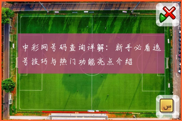 中彩网号码查询详解：新手必看选号技巧与热门功能亮点介绍
