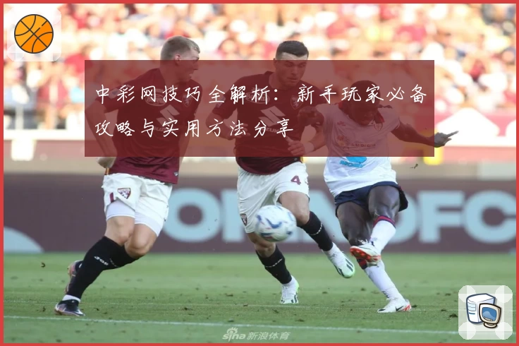 中彩网技巧全解析：新手玩家必备攻略与实用方法分享