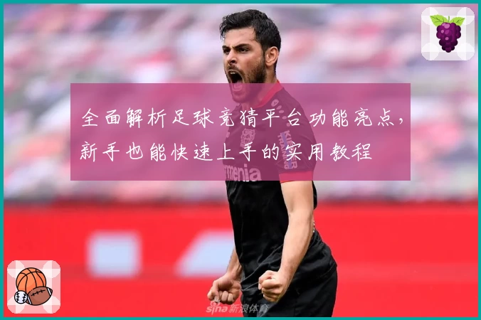 全面解析足球竞猜平台功能亮点，新手也能快速上手的实用教程