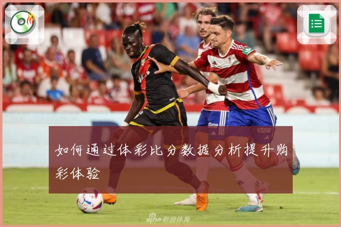 如何通过体彩比分数据分析提升购彩体验