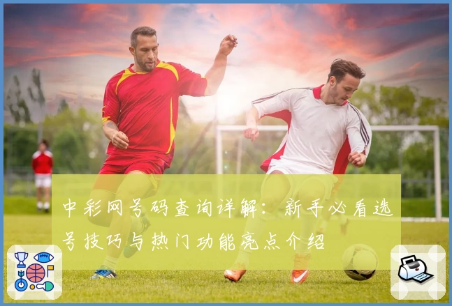 中彩网号码查询详解：新手必看选号技巧与热门功能亮点介绍
