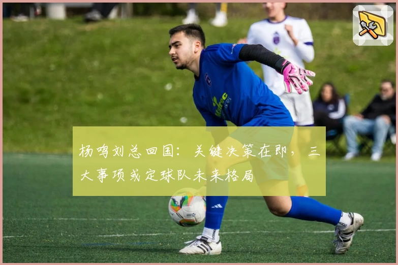 杨鸣刘总回国：关键决策在即，三大事项或定球队未来格局
