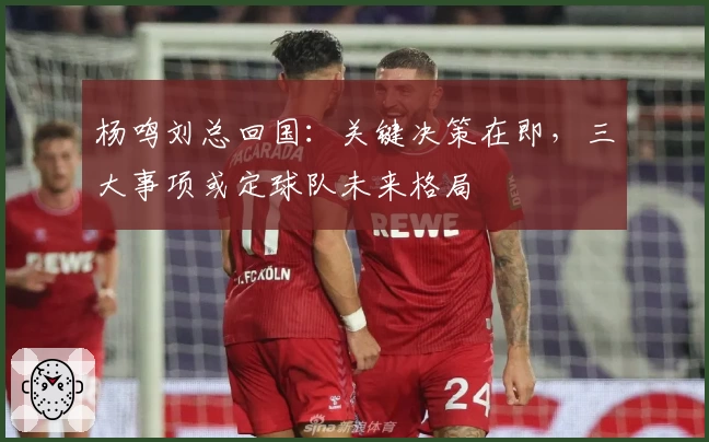 杨鸣刘总回国：关键决策在即，三大事项或定球队未来格局