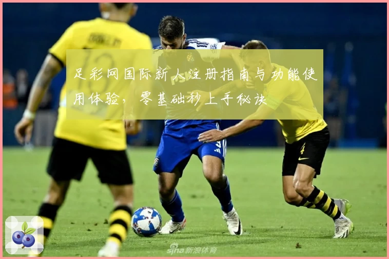 足彩网国际新人注册指南与功能使用体验,零基础秒上手秘诀